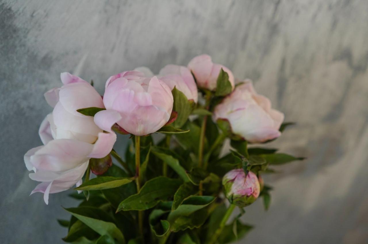 Gardenhill Vienna公寓 外观 照片
